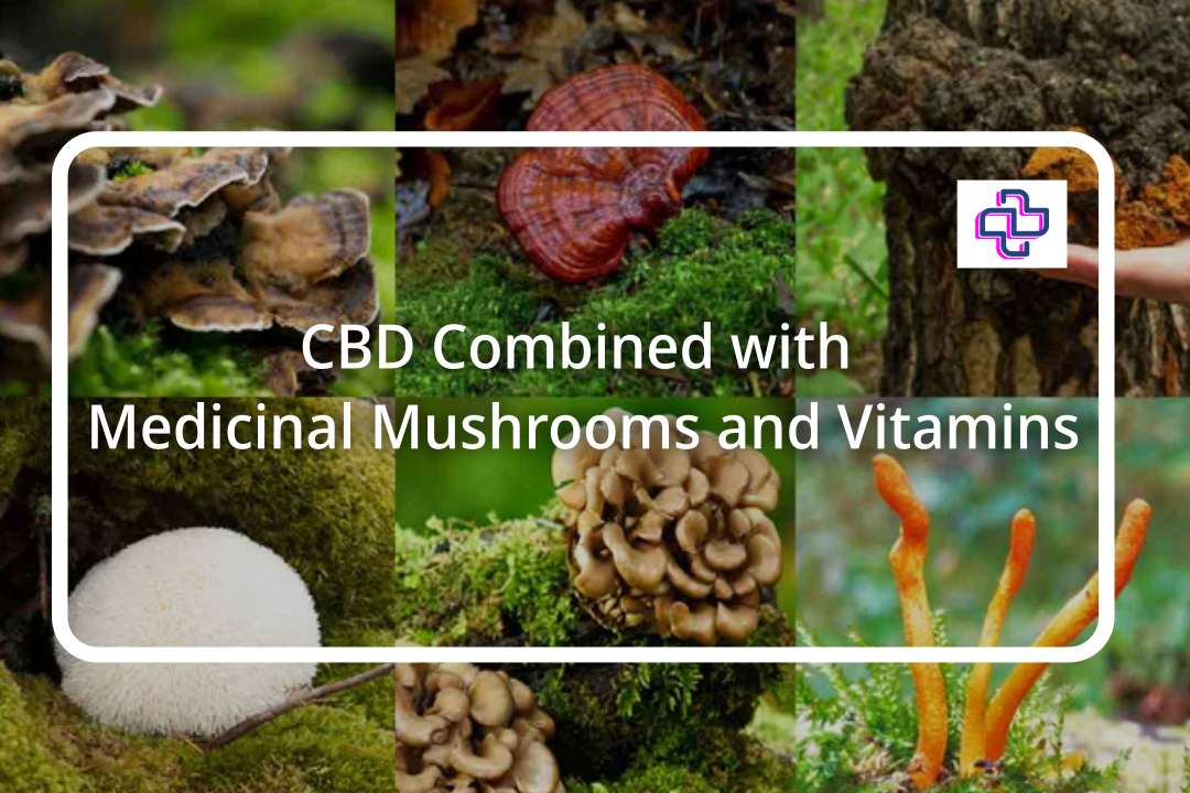 CBD Combined with Medicinal Mushrooms and Vitamins