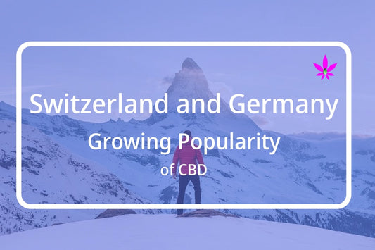 Premium CBD Oils available at 24supplements.com