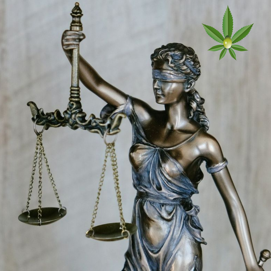 CBD & THC Legalization in Europe – Comprehensive Guide at 24Supplements.