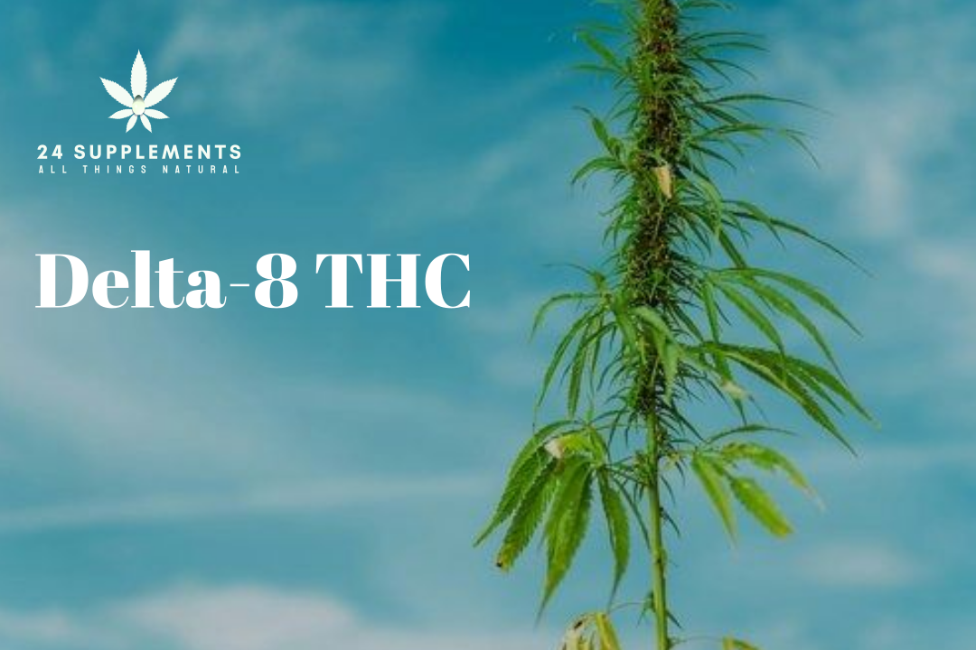 The Rise of Delta-8 THC – Understanding Its Benefits and Uses
