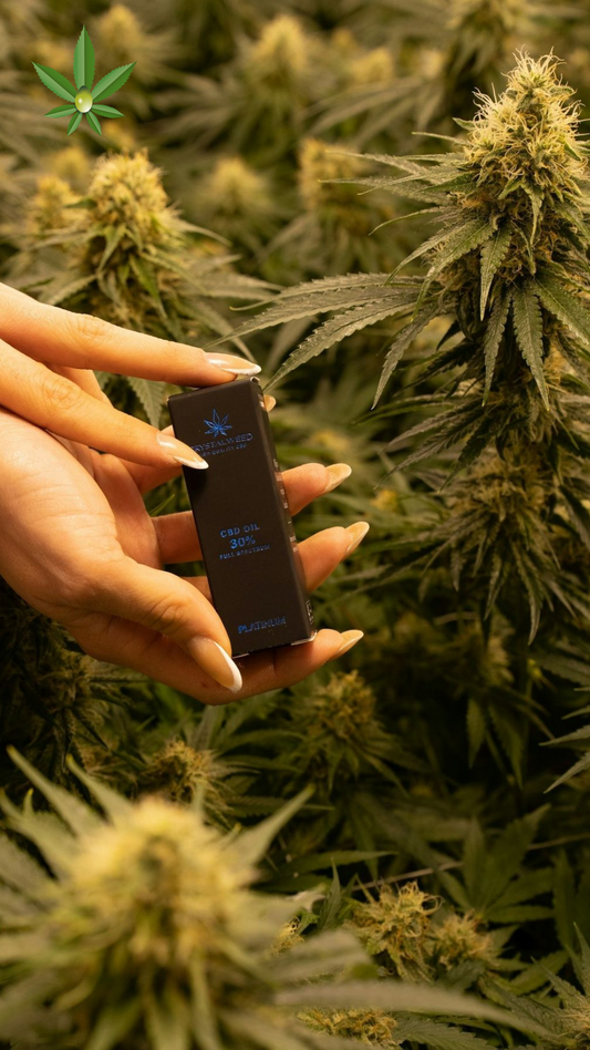 Science of CBD in Cosmetics – Real effects and research insights at 24Supplements.