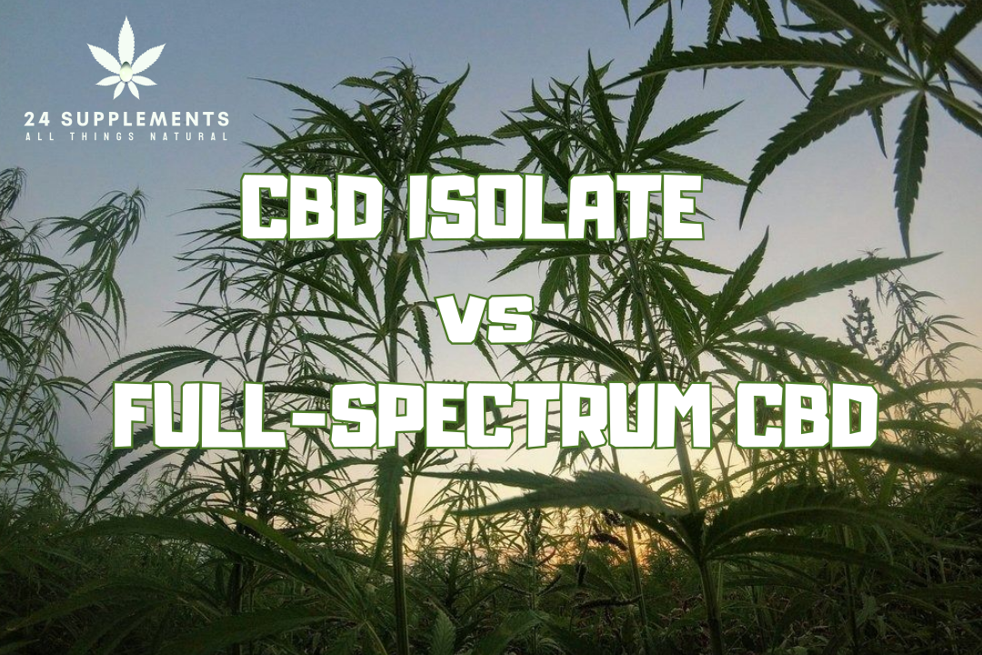 Understanding CBD Isolate vs. Full-Spectrum CBD – Which is Better for You?
