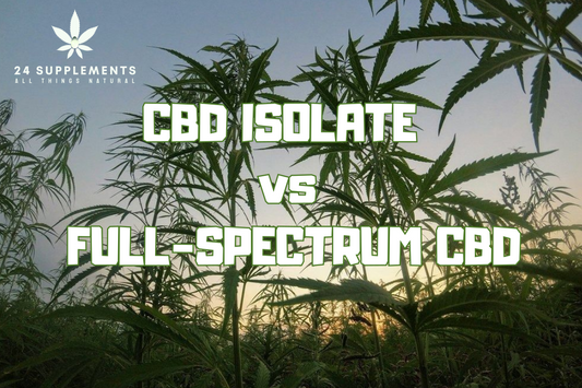 Understanding CBD Isolate vs. Full-Spectrum CBD – Which is Better for You?