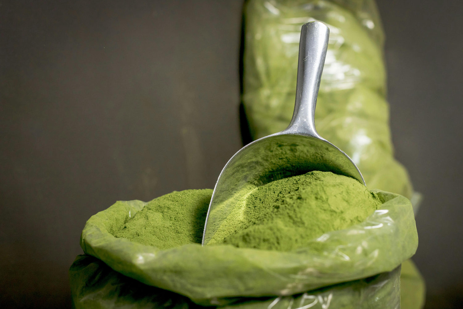 Moringa Powder - Immune Support Supplements I 24Supplements