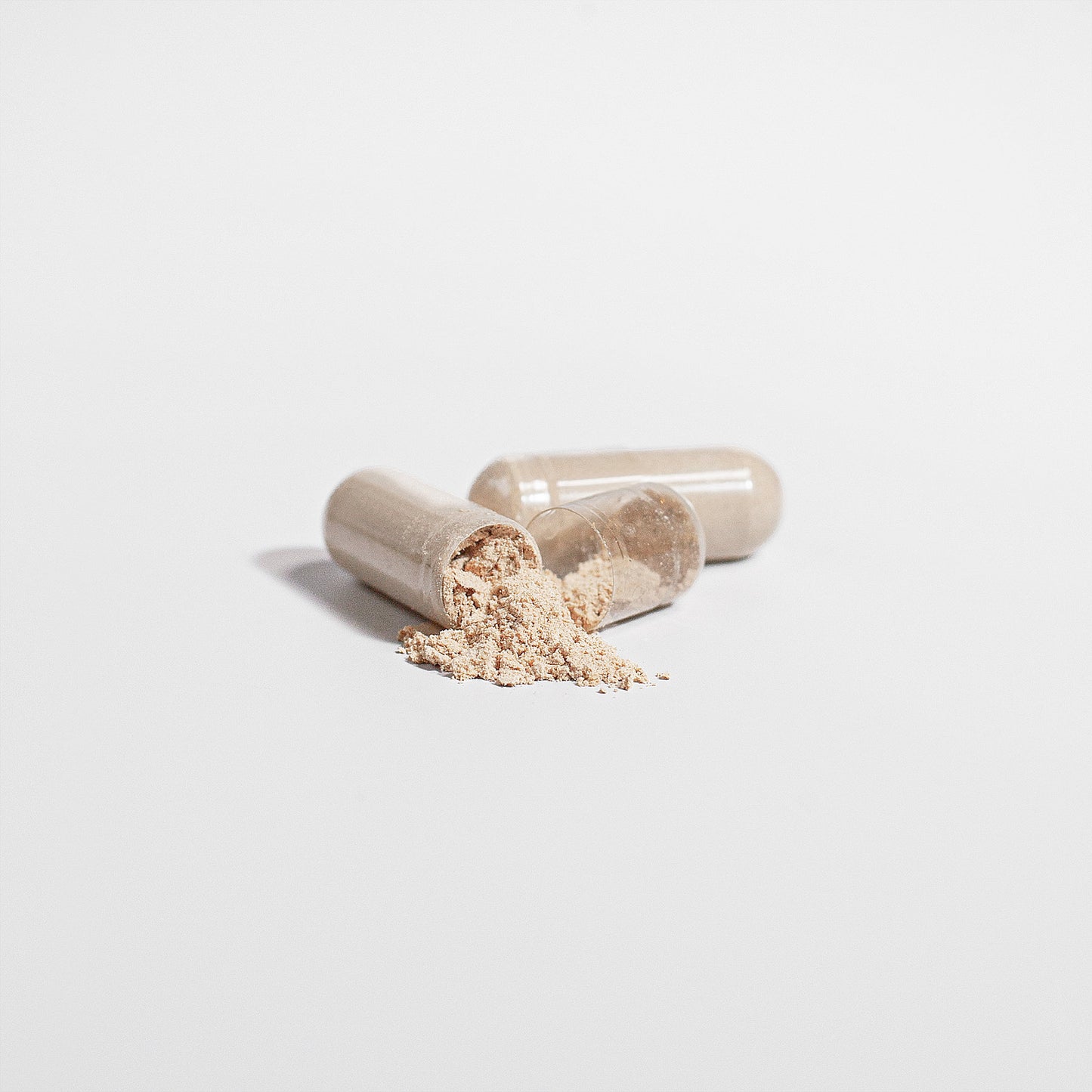 Chaga-Pilz-Extrakt-Kapseln | Antioxidantien und Immununterstützung