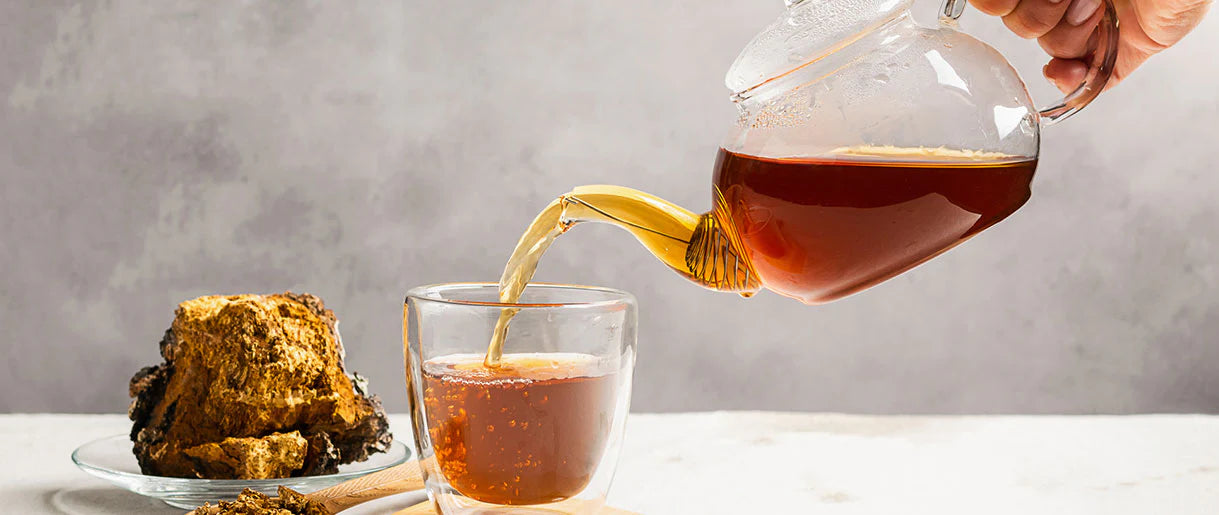 Pilzkaffee-Fusion – Löwenmähne und Chaga