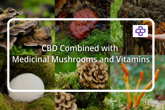 CBD Combined with Medicinal Mushrooms and Vitamins