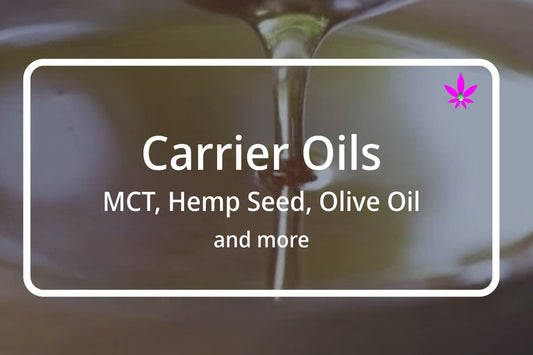 Assorted carrier oil bottles including MCT, Hemp Seed, Olive, Coconut, Jojoba, Sweet Almond, Argan, and Grapeseed oils arranged on a wooden table I 24Supplements