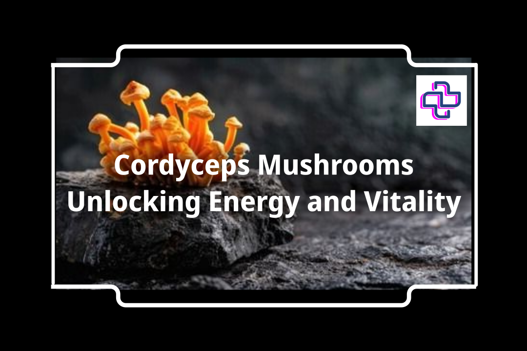 Cordyceps Mushrooms on black stone I 24Supplements