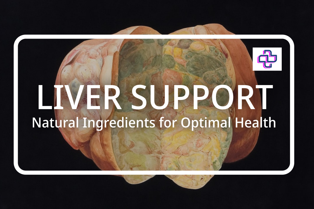 Liver Support: Natural Ingredients for Optimal Health I 24Supplements