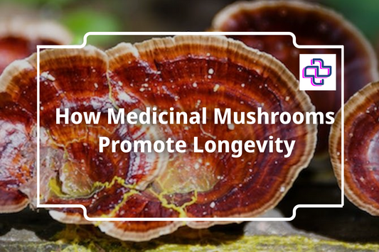 How Medicinal Mushrooms Promote Longevity I 24Supplements