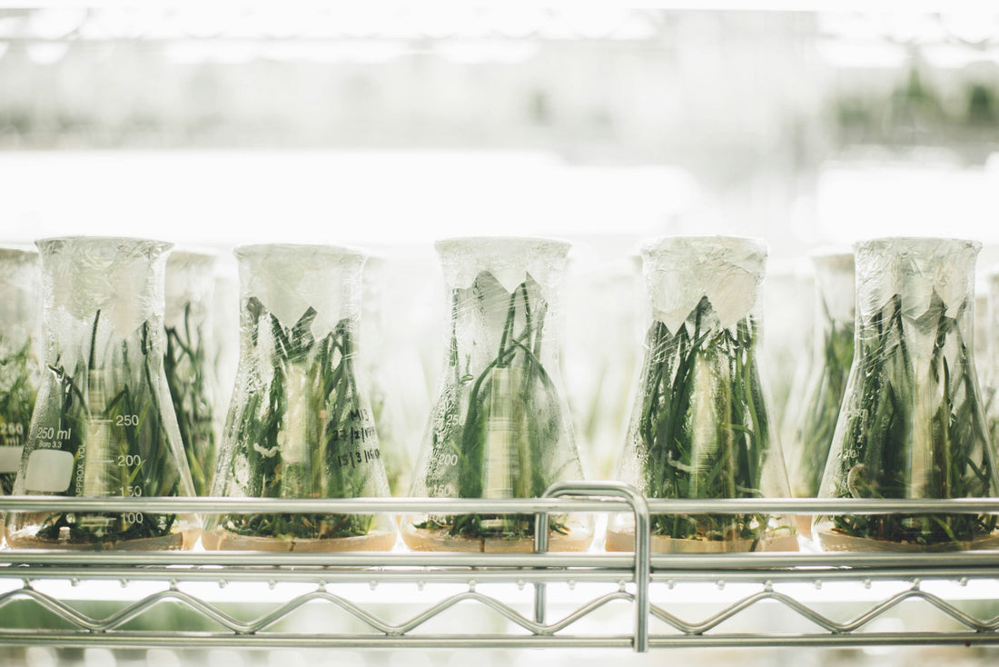 The science and research behind CBD oil benefits explained at 24Supplements.