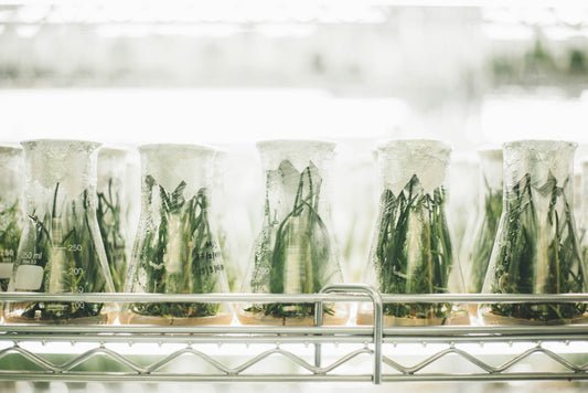 The science and research behind CBD oil benefits explained at 24Supplements.