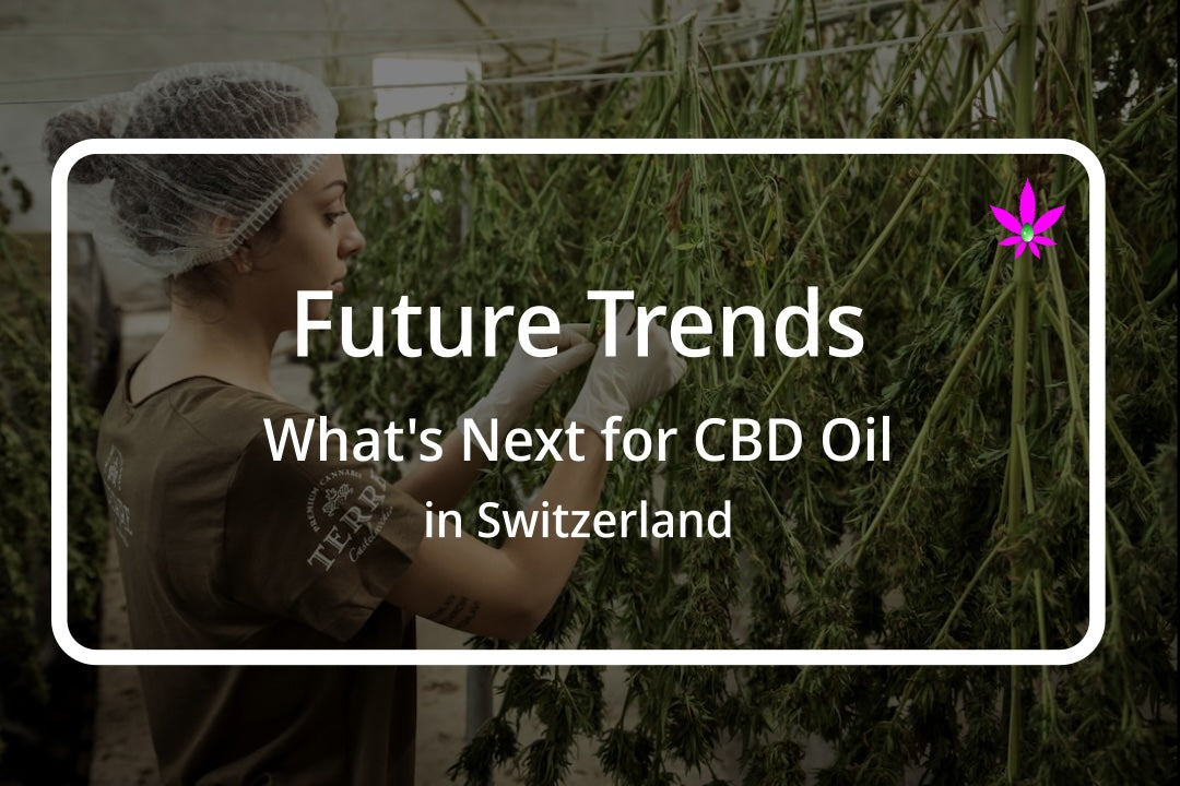 Research Funding Trends for CBD Studies in Switzerland (2015-2022) I 24Supplements