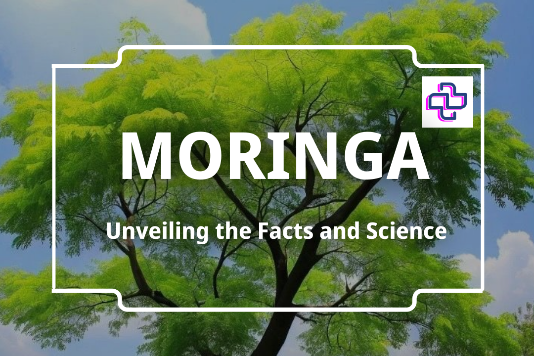 Moringa Oleifera Tree I 24Supplements