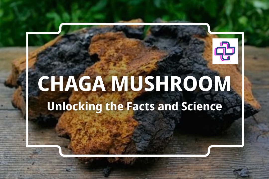 Chaga Mushroom I Shop Chaga Supplements at 24Supplements