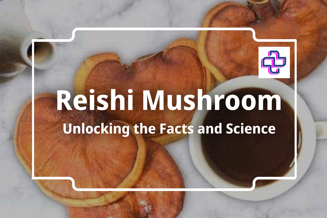 Reishi Mushroom: Unlocking the Facts and Science I 24Supplements