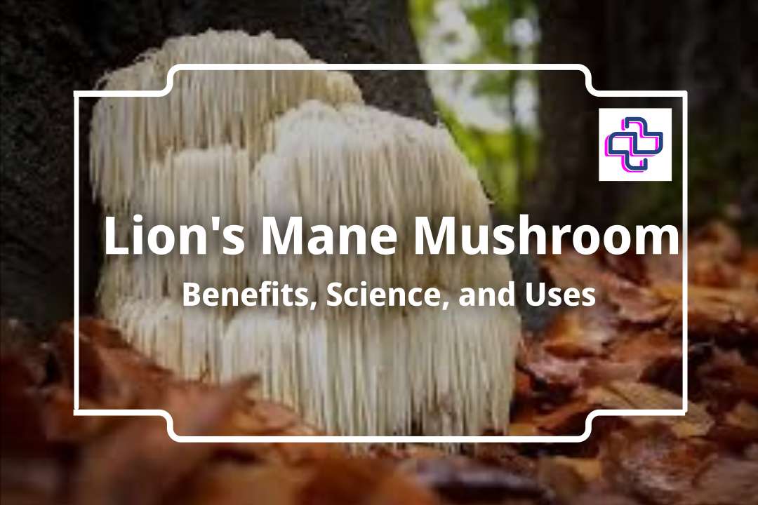 Lion's Mane Mushroom I 24Supplements.com