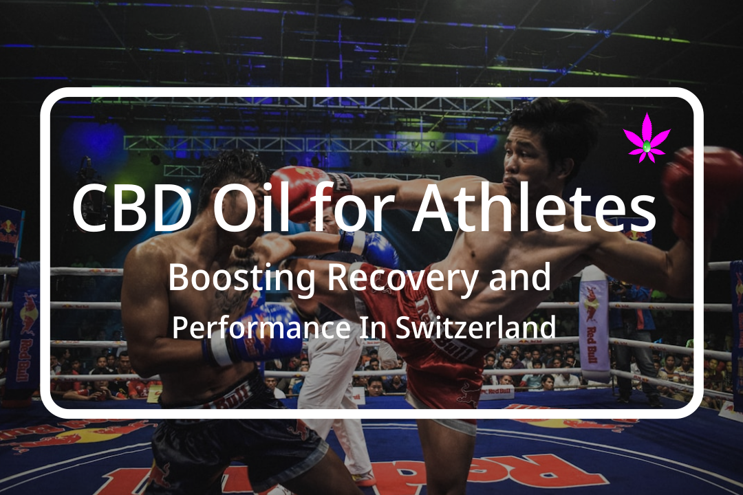 Athlete applying CBD oil in Switzerland with products from 24Supplements