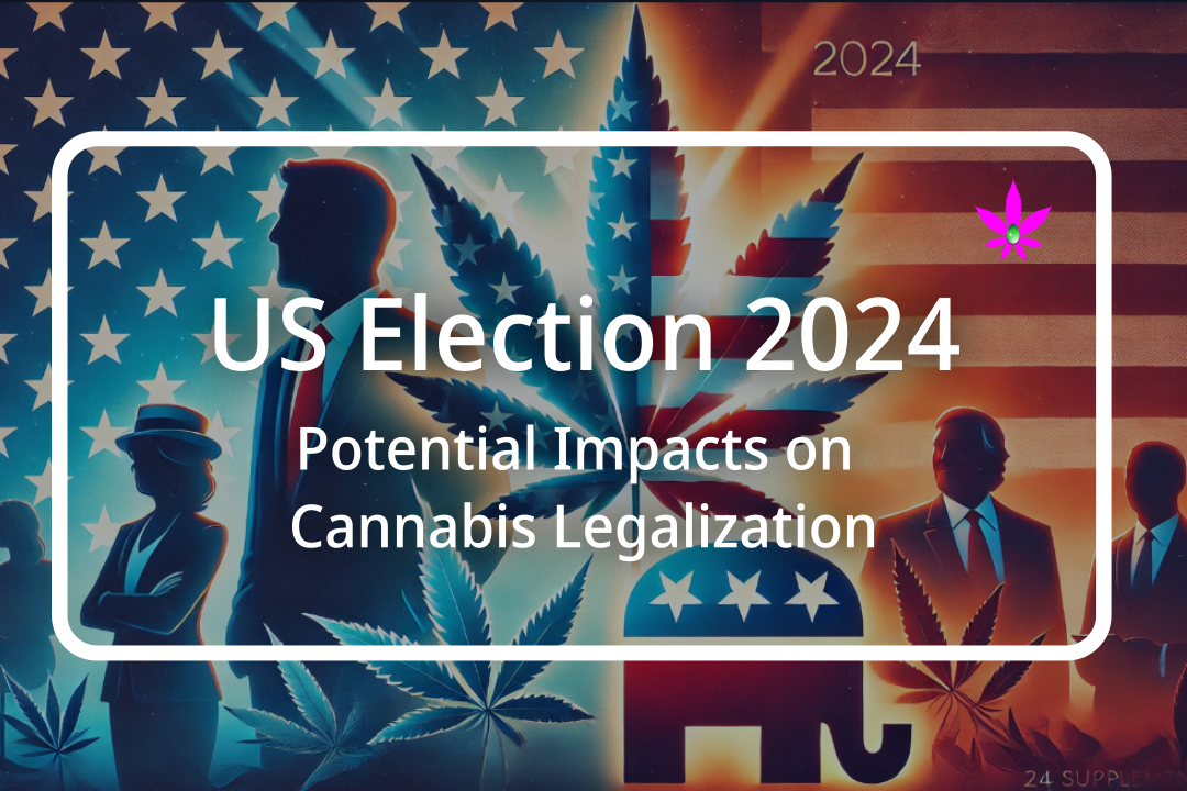 US Election 2024: Potential Impacts on Cannabis Legalization