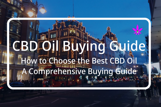 CBD insights and product guides at 24Supplements, Switzerland’s trusted CBD marketplace.