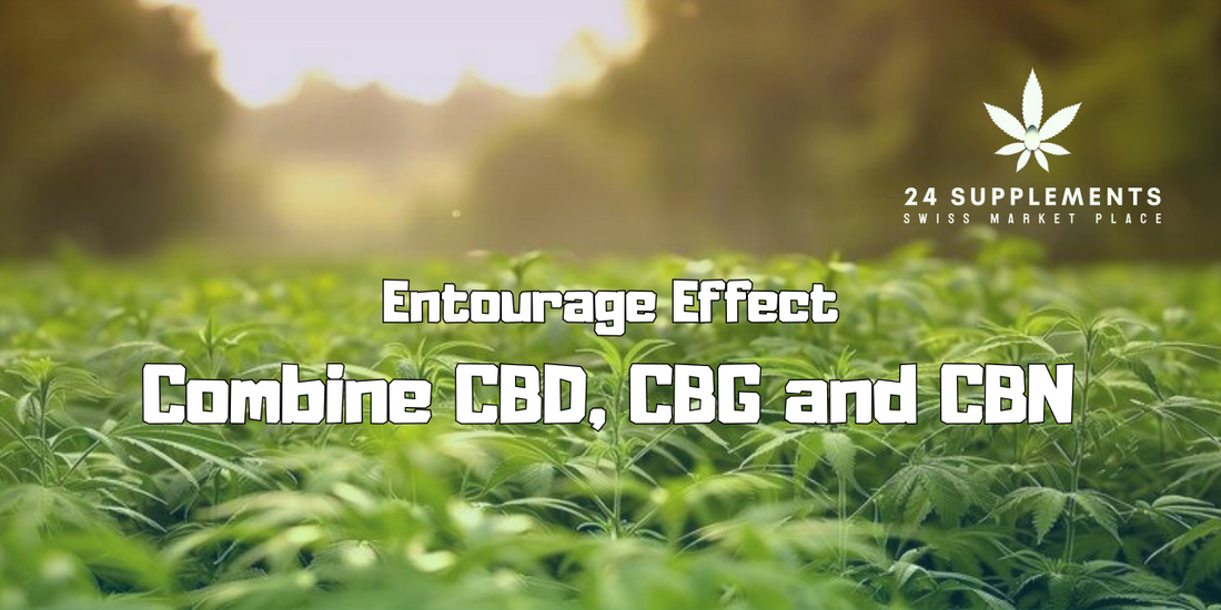 CBD field outdoor showing CBG and CBN next to hemp leaves, representing the benefits of combining cannabinoids available at 24Supplements.