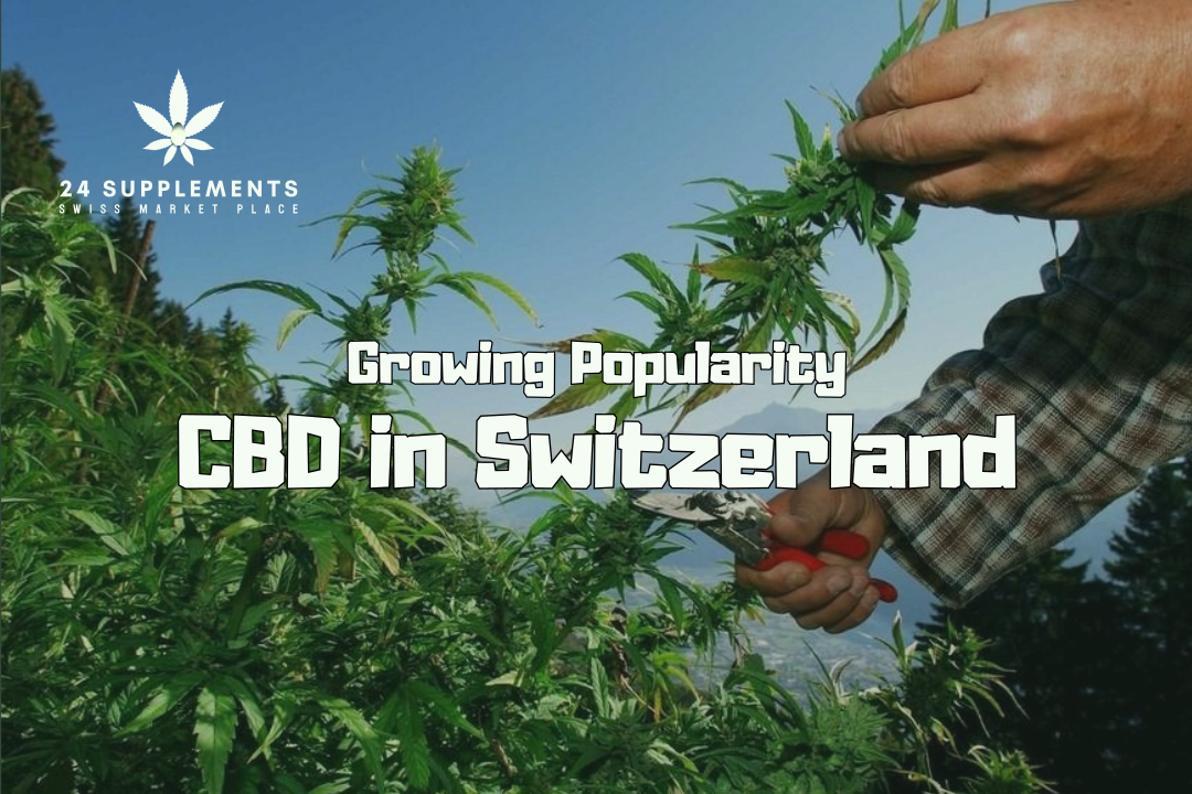 CBD outdoor field in Switzerland I 24Supplements