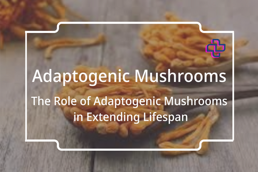 The Role of Adaptogenic Mushrooms in Extending Lifespan I 24Supplements