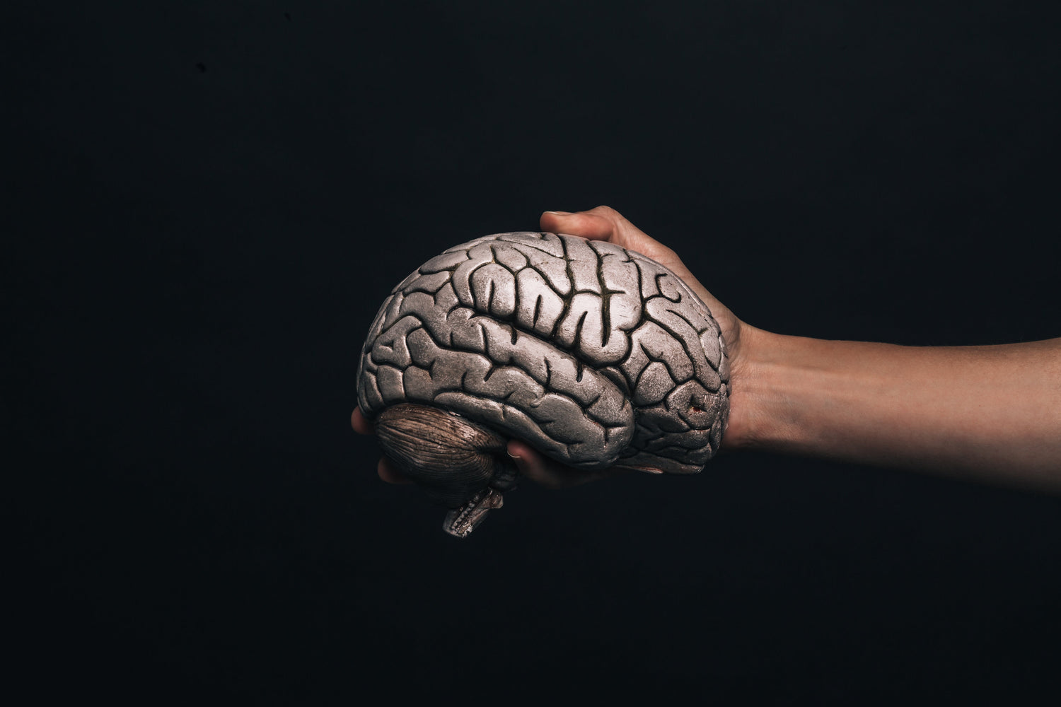 Brain and Mental Health I 24Supplements
