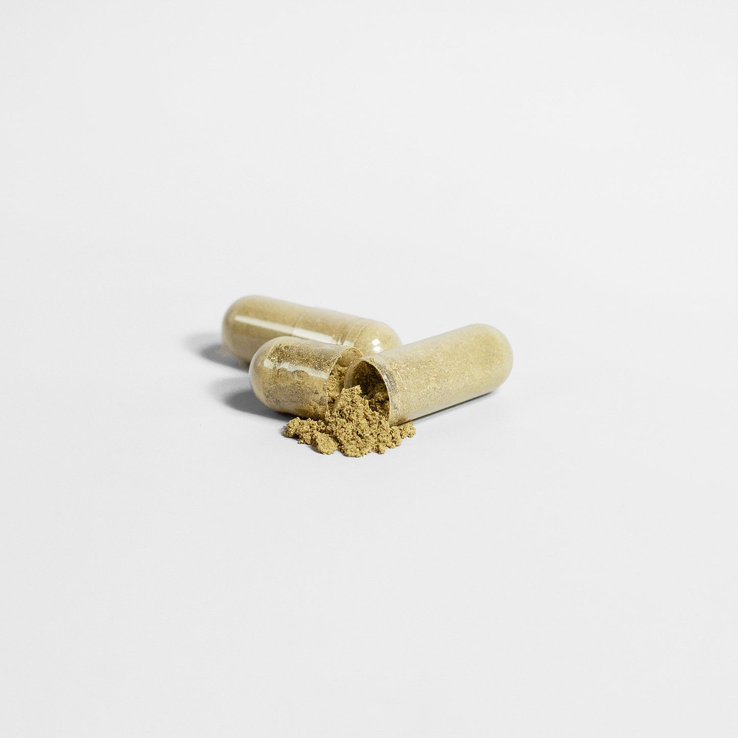 Ginkgo Biloba + Ginseng | Longevity & Cognitive Support