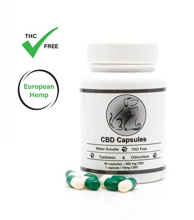 5% CBD Capsules for Pets | Natural CBD capsules for pet wellness at 24Supplements.