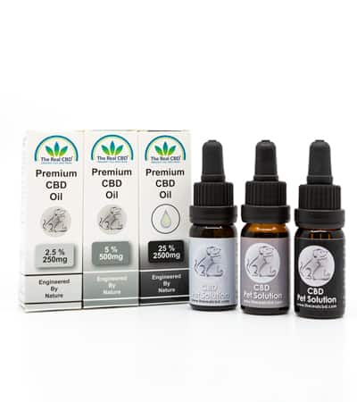 2.5% CBD Oil for Pets – Full Spectrum.